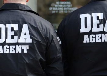 DEA Bust: 19 People Apprehended in Washington Square Park Drug Operation after Teen Overdose and Links to Multiple Reported Overdose Deaths