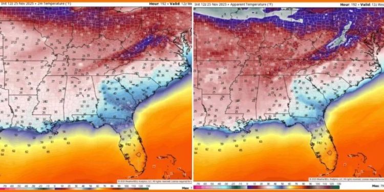Florida, Alabama And Georgia brace for freeze as record-breaking December cold hits the Deep South with wind chills in the 20s