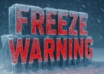 Florida–Georgia Weather: Freeze Warning Issued Tonight; Temperatures Could Reach 29°F by Dawn Black Friday