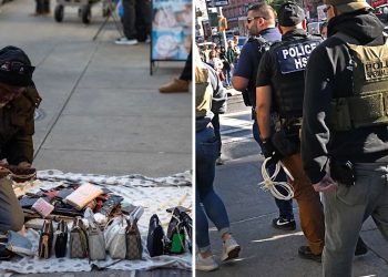 ICE apprehends illegal immigrant selling counterfeit goods on Canal Street