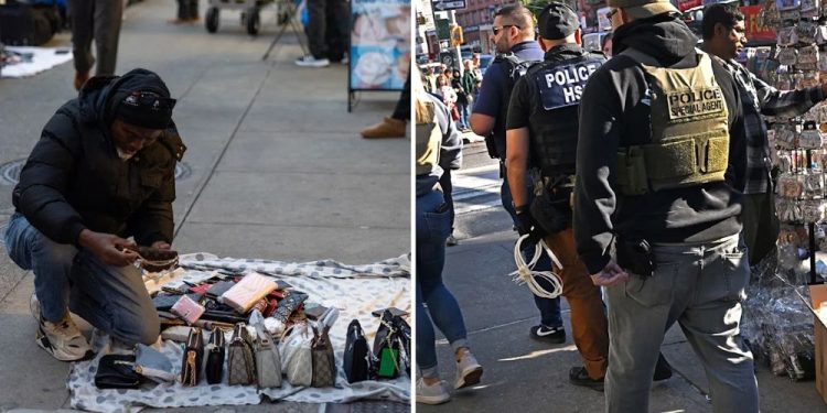 ICE apprehends illegal immigrant selling counterfeit goods on Canal Street