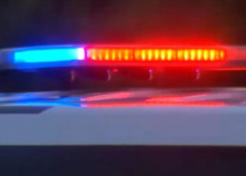 Man Taken Into Custody On Drug Charges In New York