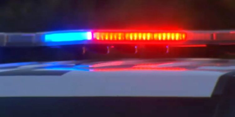 Man Taken Into Custody On Drug Charges In New York