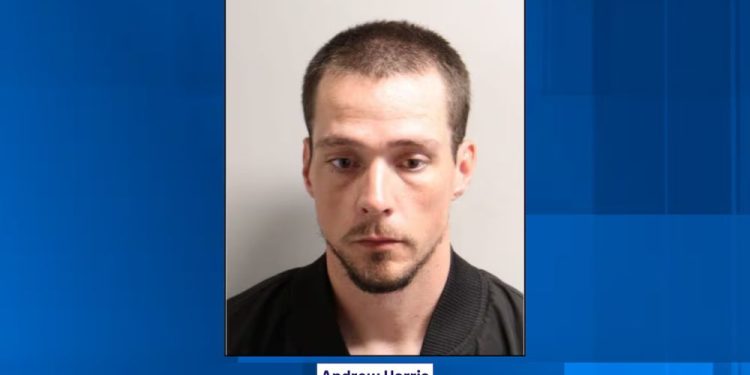 Man detained for attempted murder Wednesday: TPD