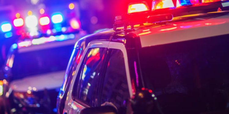 Mississippi businessman pleads guilty to $19M Medicare fraud