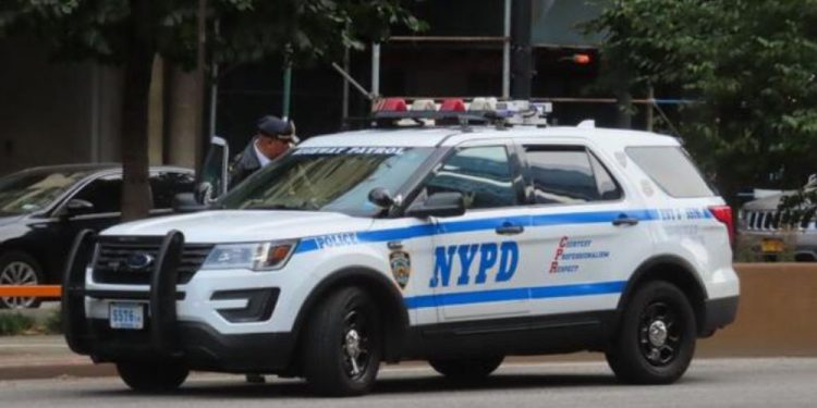 New York Woman Taken Into Custody After 206 Animals And Her 95-Year-Old Mother Found Trapped in Filth