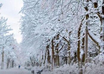 Northeast Set For Snowiest Winter In 5 Years, Major Storms Forecast For New Jersey & New York