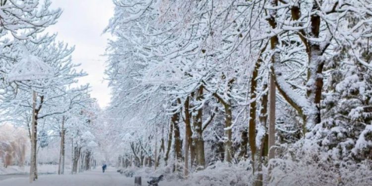 Northeast Set For Snowiest Winter In 5 Years, Major Storms Forecast For New Jersey & New York