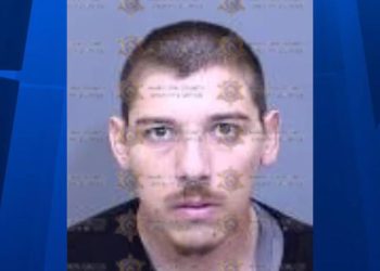 Suspect Apprehended Year After Teen Girl Attacked While Walking Dog In Phoenix