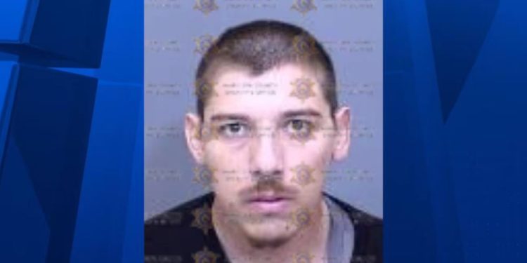 Suspect Apprehended Year After Teen Girl Attacked While Walking Dog In Phoenix