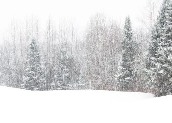 Winter Storm Warning: 16 Inches Of Snow To Hit Northeast