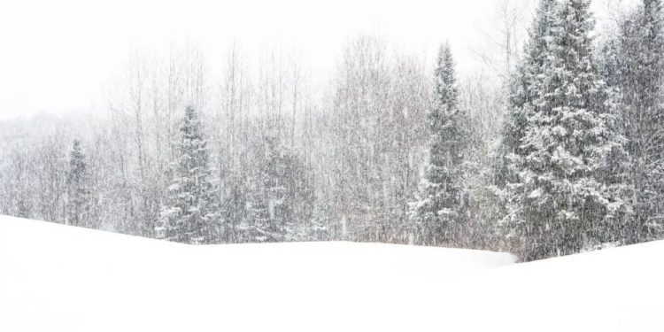 Winter Storm Warning: 16 Inches Of Snow To Hit Northeast