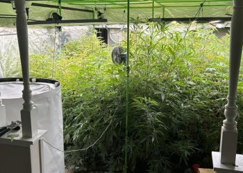 15 apprehended, indicted on charges related to trafficking drugs in several states, including OK