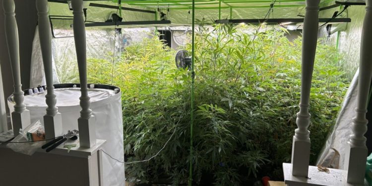 15 apprehended, indicted on charges related to trafficking drugs in several states, including OK