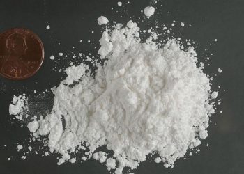 Father-son Duo Indicted With Delivery Of 40 Pounds Of Cocaine
