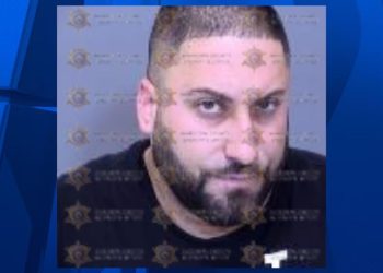 Man accused of leaving dog in locked car, resisting detain in Scottsdale