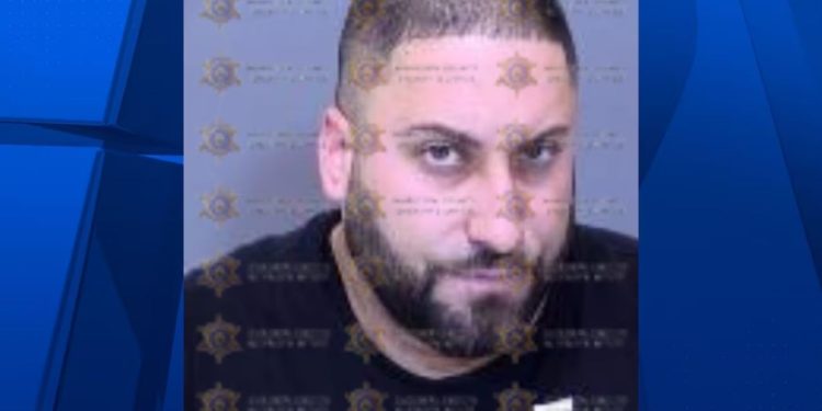 Man accused of leaving dog in locked car, resisting detain in Scottsdale