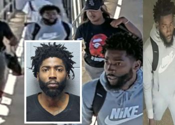 Man sentenced to 13 years in prison for hammer attack and robbery on CTA Blue Line platform