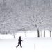 Snowstorms Expected Across Pennsylvania on Saturday Night
