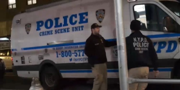 Son Arrested And Accused Of Beating 76-year-old Mother To Death In Lower East Side Apartment