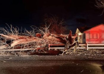 Wind Gusts Reach 130+ MPH, Power Outages Widespread in the Pacific Northwest