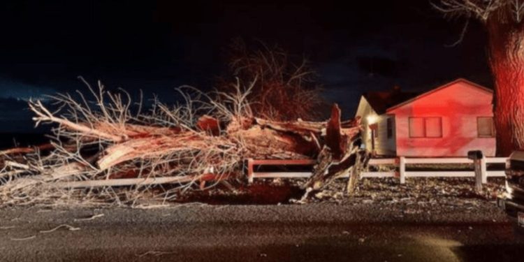 Wind Gusts Reach 130+ MPH, Power Outages Widespread in the Pacific Northwest