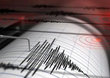 4.3 magnitude earthquake shakes parts of Texas