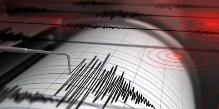 4.3 magnitude earthquake shakes parts of Texas