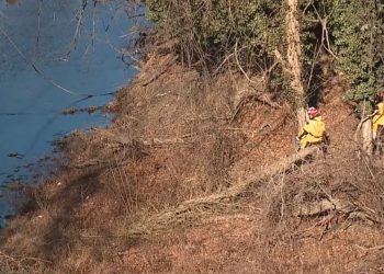 Baltimore Man Charged With Murder After Admitting to Stabbing Boyfriend, Dumping Body in Leakin Park