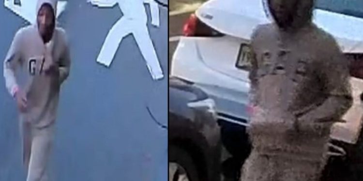 Boys As Young As 10 Wanted For Bone-breaking Attack On 69-year-old Woman In Central Park: Police