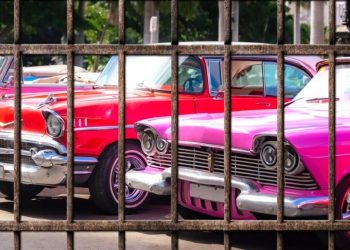 Classic Car Restoration Shop Owner In Texas Sentenced To 60 Years In Prison For Theft And Fraud