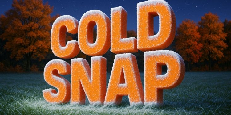 Freeze Alert for Louisiana, Texas, and Arkansas: Temperatures Fall Into the 20s Through Thursday