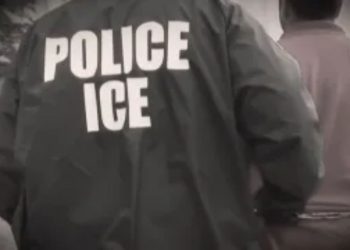 ICE Officer Faces Charges After Attacking Immigrant Rights Activist in Chicago Suburb