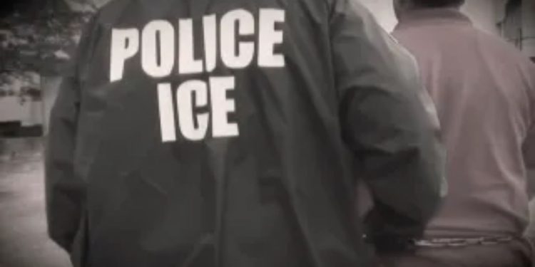 ICE Officer Faces Charges After Attacking Immigrant Rights Activist in Chicago Suburb