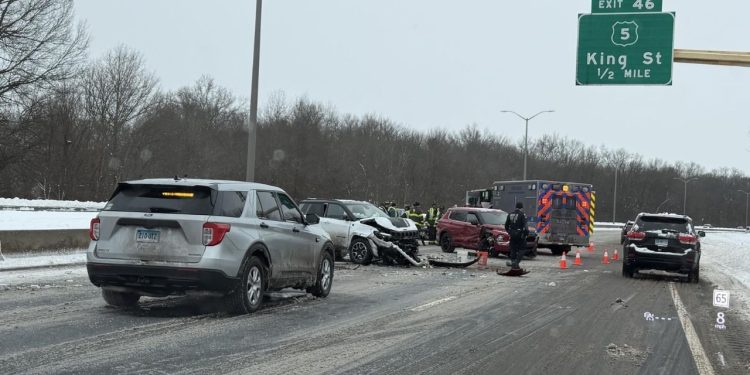 Man Receives Sentenced On Federal Charge For Deliberately Driving Into Flock Of Canadian Geese