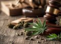 Maryland Dispensary Storehouse Fined $10,000 After Cannabis Tracking Violations