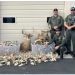 Ohio hunter sentenced to prison after investigation leads to forfeiture of hundreds of deer antlers