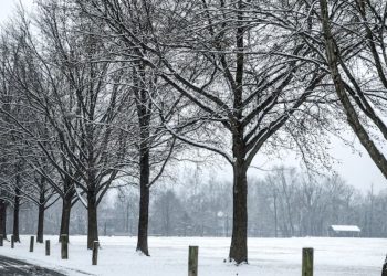 Pennsylvania Weather Alert: Snow Possibly Dangerous Road Conditions Coming Tonight