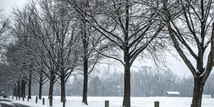 Pennsylvania Weather Alert: Snow Possibly Dangerous Road Conditions Coming Tonight