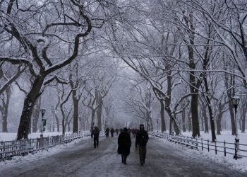 Snow Expected in NYC Area as Two Weather Systems Move In This Weekend