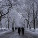 Snow Expected in NYC Area as Two Weather Systems Move In This Weekend