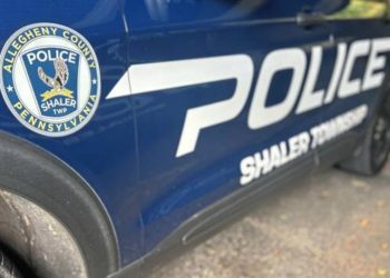 Two 18-year-old Detained For Stealing From Vehicles In Pennsylvania