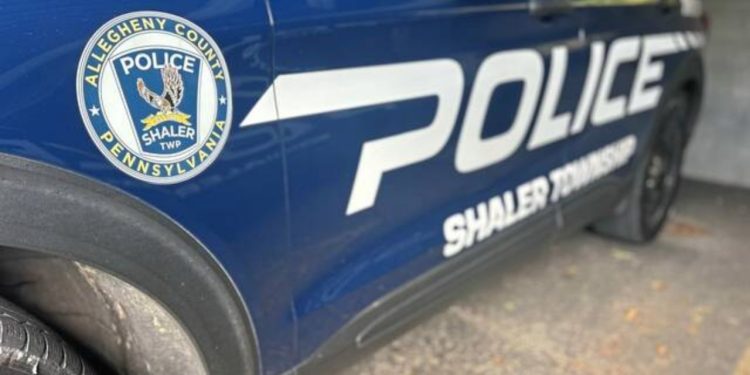 Two 18-year-old Detained For Stealing From Vehicles In Pennsylvania