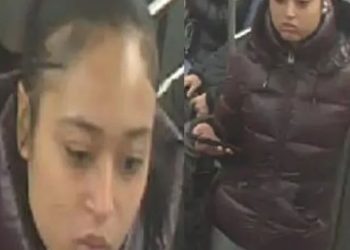 Woman Wanted For Stabbing 57-Year-Old Rider In The Head On Midtown Subway Train