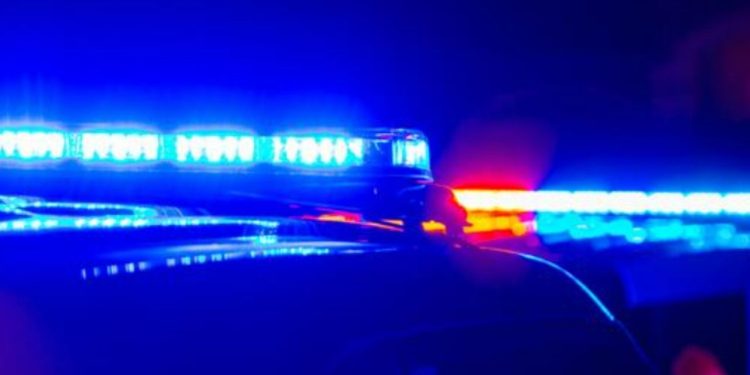 3 People Dead After Crime Spree In Florida