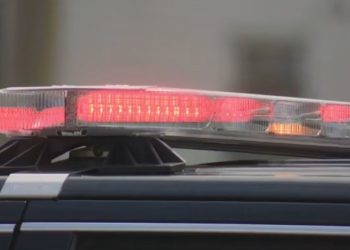 Central Florida CEO taken into custody in $328 Million Ponzi scheme, prosecutors say