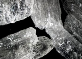 Central Florida Woman Sentenced To Prison For Distributing Meth