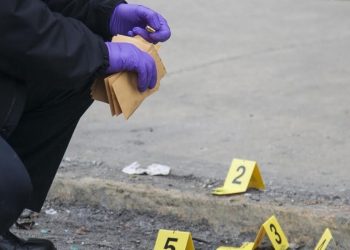 City Workers Discover Body Of Woman Gunned Down On Dirt Road On Far South Side