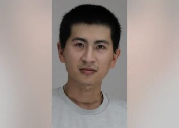 Dallas Police Detain Suspect In Stolen Car And Uncover Evidence Of Mail Theft