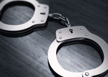 GCSO: Man apprehended after allegedly running over Tallahassee store clerk